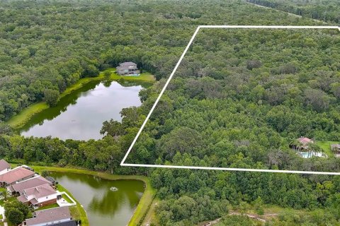 Land in Edgewater, Florida № 1658547 - photo 8