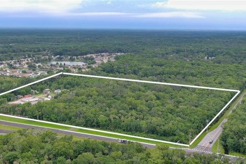 Land in Edgewater, Florida № 1658547 - photo 3