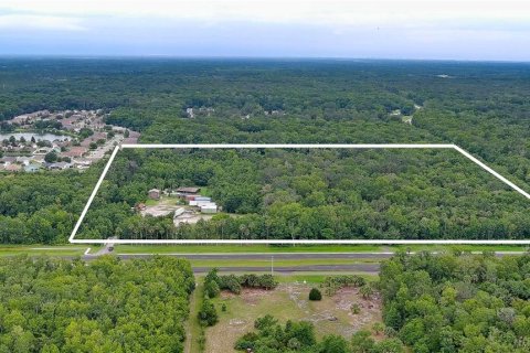 Land in Edgewater, Florida № 1658547 - photo 2