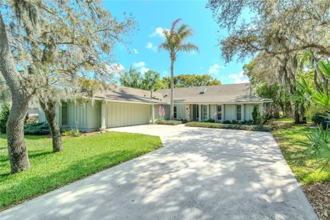 Villa ou maison à New Smyrna Beach, Floride 4 chambres, 242.2 m2 № 2142842