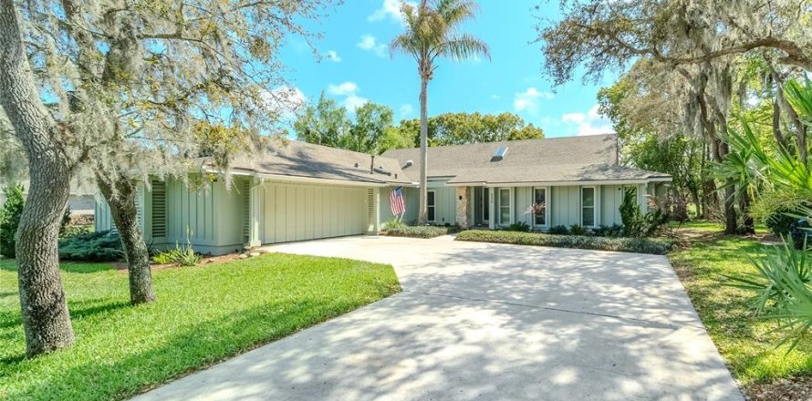 Villa ou maison à New Smyrna Beach, Floride 4 chambres, 242.2 m2 № 2142842