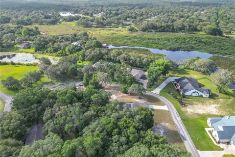 House in Inverness, Florida 5 bedrooms, 224.27 sq.m. № 1782442 - photo 28
