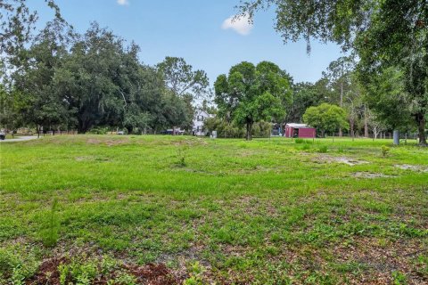 Terrain à vendre à Lakeland, Floride № 2096956 - photo 6