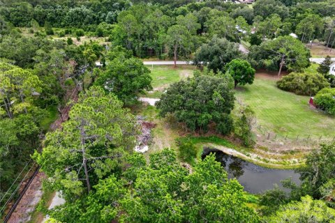 Terrain à Lakeland, Floride № 2096956