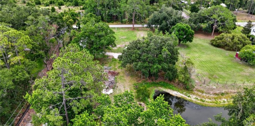 Terrain à Lakeland, Floride № 2096956