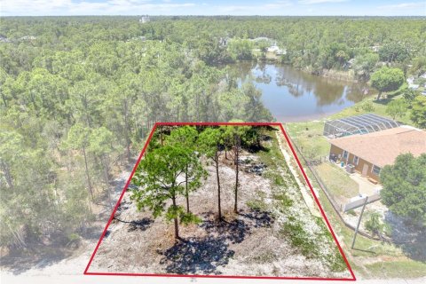 Terreno en venta en Punta Gorda, Florida № 2112521 - foto 9