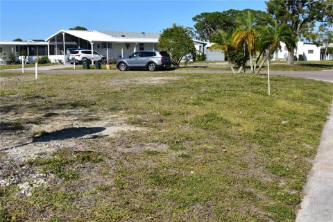 Land in North Port, Florida № 2239027 - photo 6