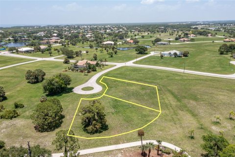 Land in Punta Gorda, Florida № 1573787 - photo 5