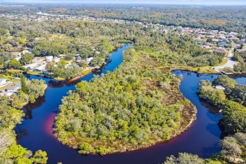 Terreno en venta en New Port Richey, Florida № 1812874 - foto 1