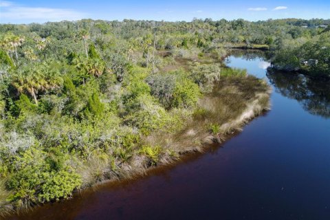 Terreno en venta en New Port Richey, Florida № 1812874 - foto 25