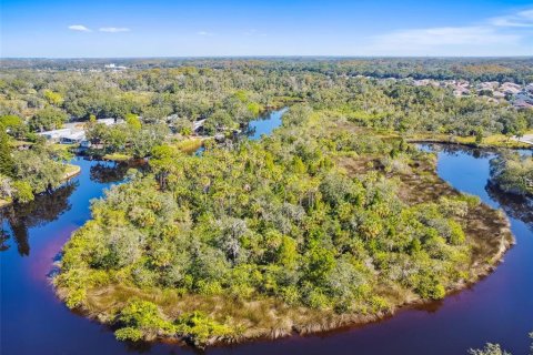 Terreno en venta en New Port Richey, Florida № 1812874 - foto 16