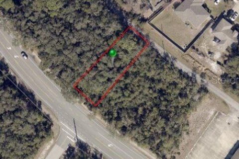 Terreno en venta en Deltona, Florida № 2201446 - foto 2