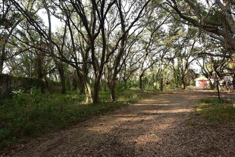 Land in Gibsonton, Florida № 1670913 - photo 5