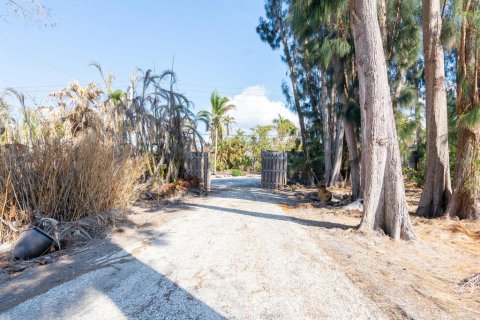 Terreno en venta en Sarasota, Florida, 2 dormitorios, 229.75 m2 № 1733130 - foto 4