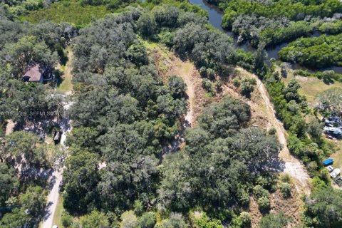 Купить земельный участок в Тампа, Флорида № 2006984 - фото 23