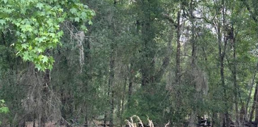 Land in Dade City, Florida № 1908363