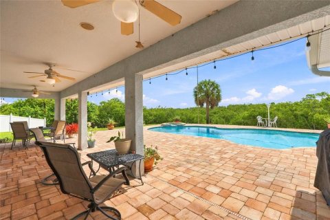 Villa ou maison à vendre à Saint Petersburg, Floride: 4 chambres, 199.65 m2 № 2406527 - photo 29