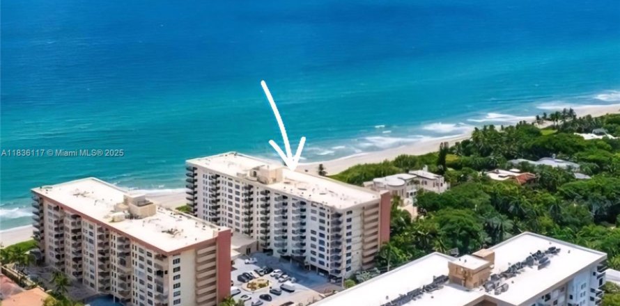 Studio in the Condo in Hillsboro Beach, Florida  № 2014083