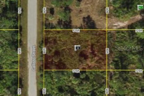 Land in Port Charlotte, Florida № 2205353