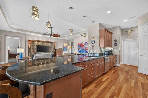 Villa ou maison à vendre à Mount Dora, Floride: 3 chambres, 241.64 m2 № 2418474 - photo 20