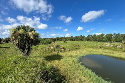 Terrain à Punta Gorda, Floride № 2106754