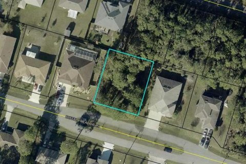 Land in Palm Coast, Florida № 2114795