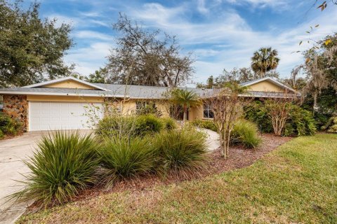 Villa ou maison à vendre à Temple Terrace, Floride: 5 chambres, 273.97 m2 № 1520277 - photo 1
