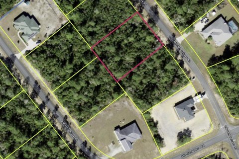 Terreno en venta en Ocala, Florida № 1852676 - foto 1