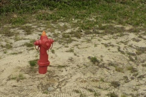 Terreno en venta en Ocala, Florida № 1852676 - foto 2