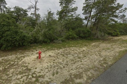 Terreno en venta en Ocala, Florida № 1852676 - foto 3