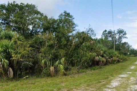 Terrain à vendre à Punta Gorda, Floride № 2196750 - photo 6
