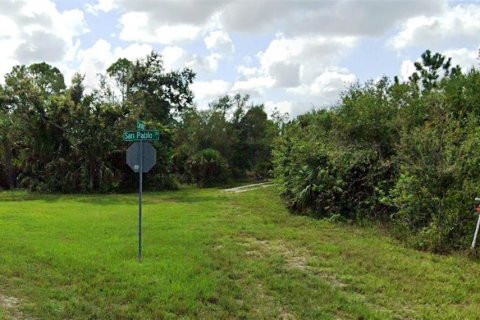 Terrain à vendre à Punta Gorda, Floride № 2196750 - photo 7