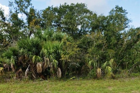 Terrain à vendre à Punta Gorda, Floride № 2196750 - photo 2