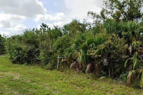 Terrain à vendre à Punta Gorda, Floride № 2196750 - photo 3