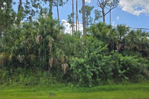 Land in North Port, Florida № 2163968 - photo 4