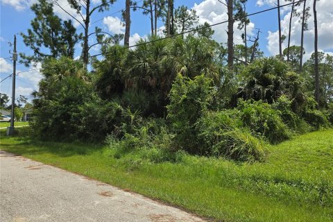 Land in North Port, Florida № 2163968 - photo 5