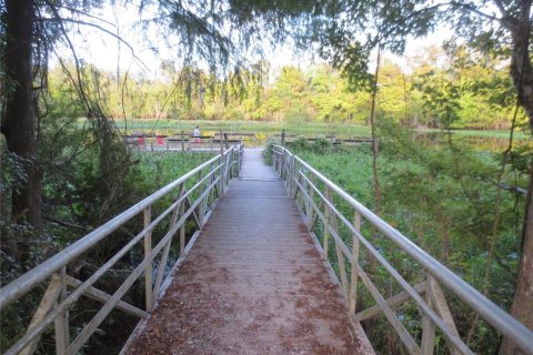 Land in Silver Springs Shores, Florida № 2164237 - photo 26