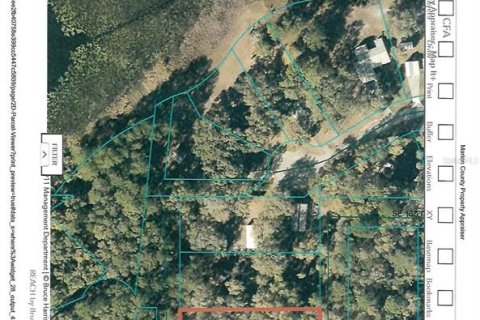 Land in Silver Springs Shores, Florida № 2164237 - photo 9