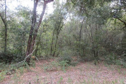 Land in Silver Springs Shores, Florida № 2164237