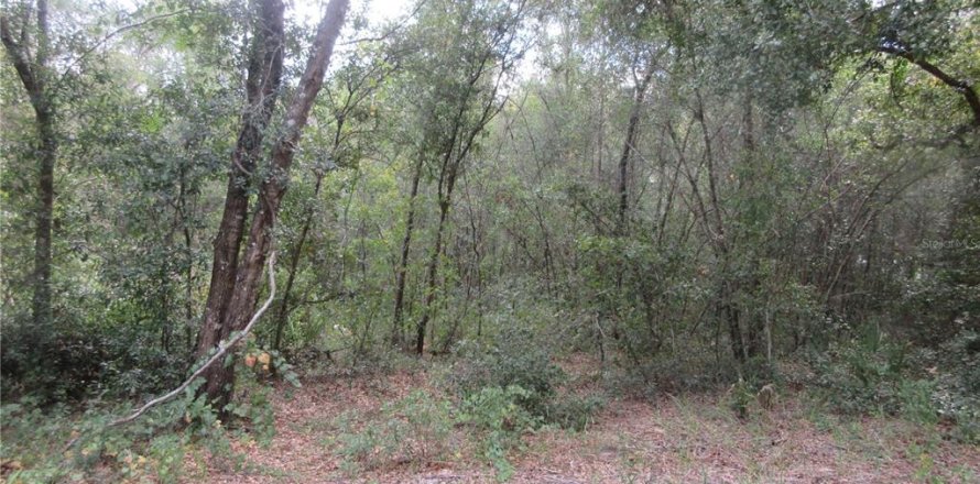 Land in Silver Springs Shores, Florida № 2164237