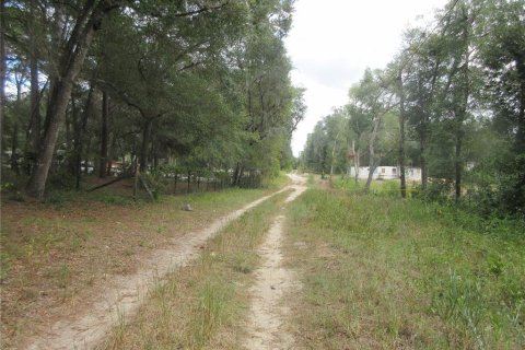 Land in Silver Springs Shores, Florida № 2164237 - photo 7