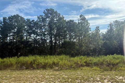 Propiedad comercial en Ocala, Florida № 2158336