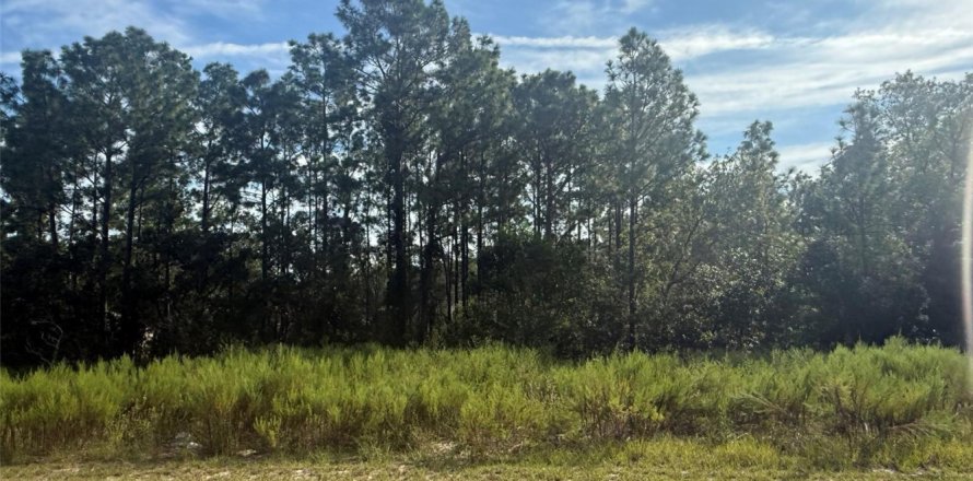 Propiedad comercial en Ocala, Florida № 2158336
