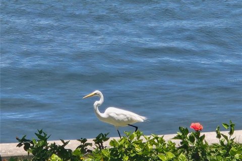 Condominio en venta en Sarasota, Florida, 2 dormitorios, 81.94 m2 № 2152260 - foto 14