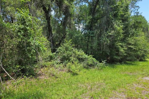 Terreno en Dunnellon, Florida № 2229335