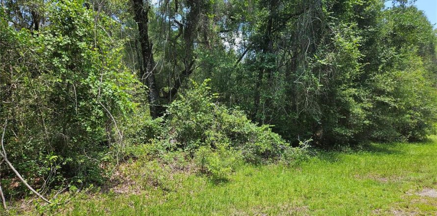 Land in Dunnellon, Florida № 2229335