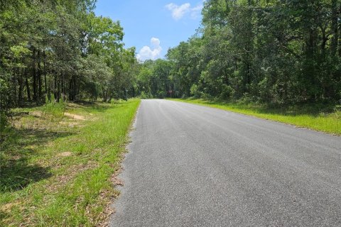 Land in Dunnellon, Florida № 2229335 - photo 3