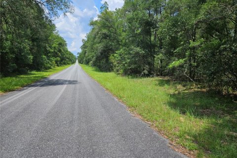 Land in Dunnellon, Florida № 2229335 - photo 2