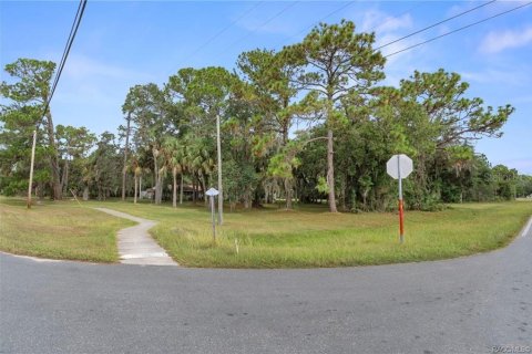 Commercial property in Inglis, Florida 707.36 sq.m. № 2212616 - photo 14