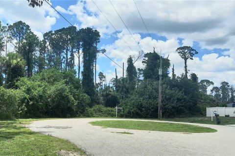 Land in North Port, Florida № 2232736 - photo 4